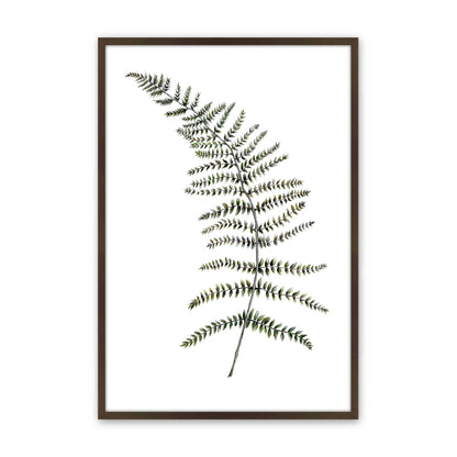 [Color:Belvinder Brown], Picture of art in a Belvinder Brown frame