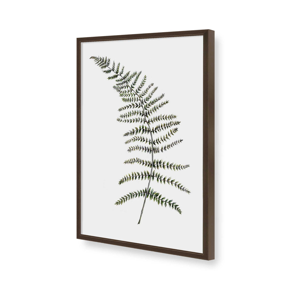 [Color:Belvinder Brown], Picture of art in a Belvinder Brown frame of the corner