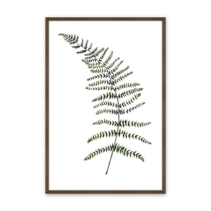 [Color:Walnut], Picture of art in a Walnut frame