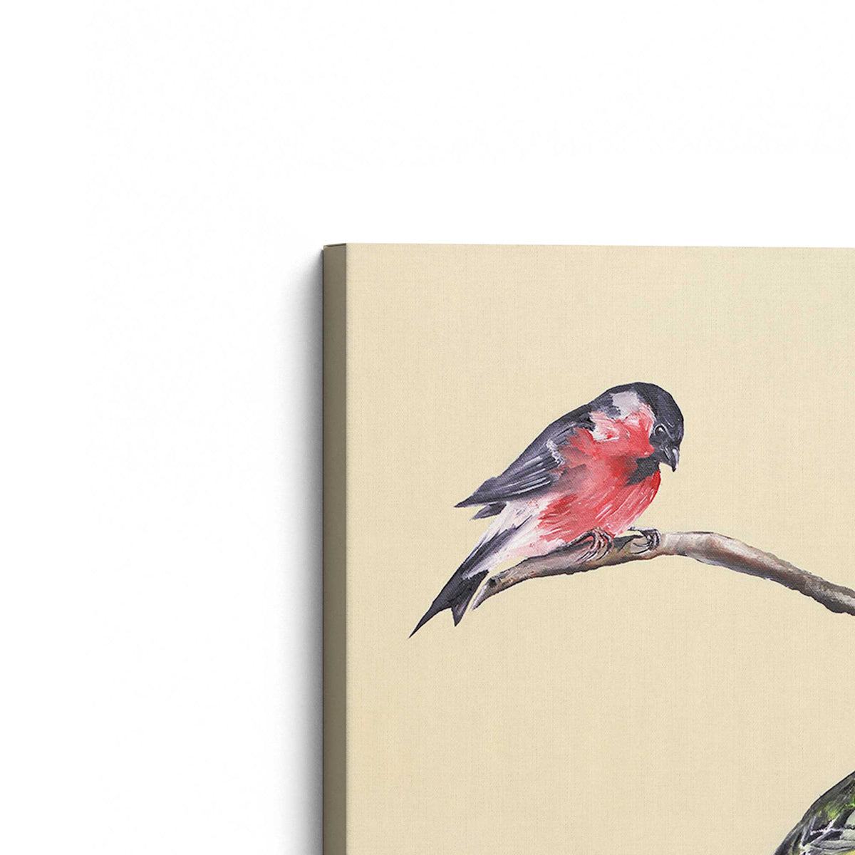 [Color:Stretched Canvas], Picture of the corner of the art