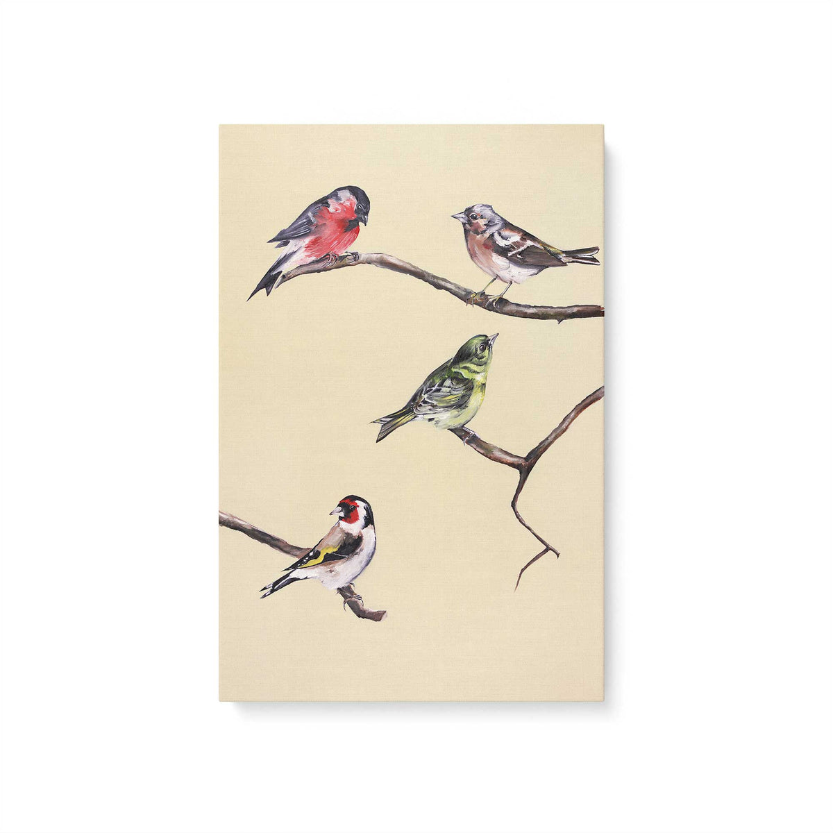 [Color:Stretched Canvas], Picture of art