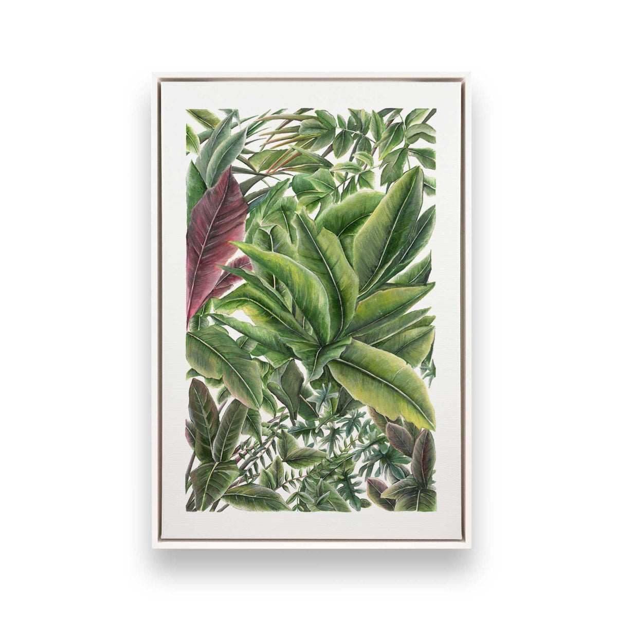 [Color:Opaque White], Picture of art in a White frame
