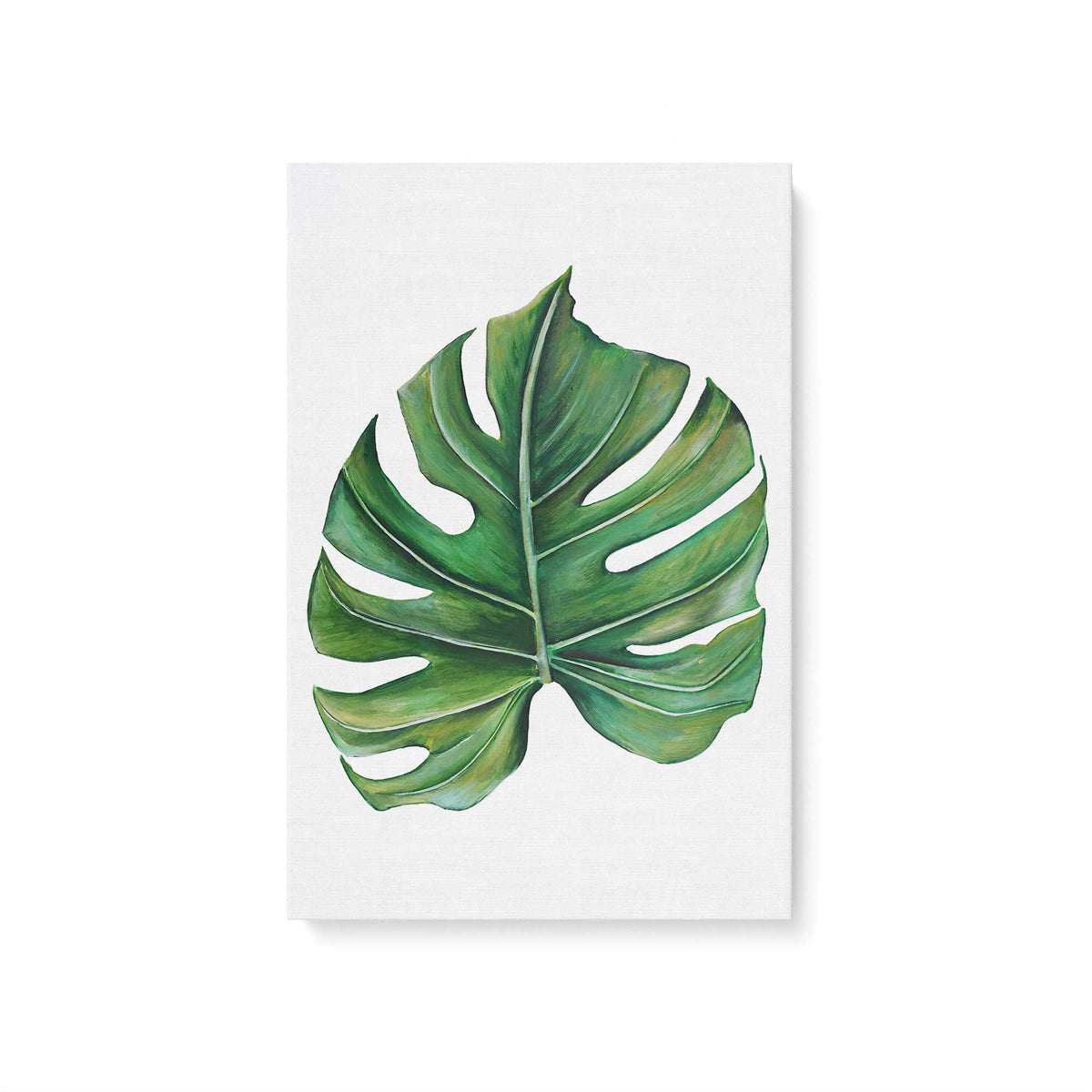 [Color:Stretched Canvas], Picture of art