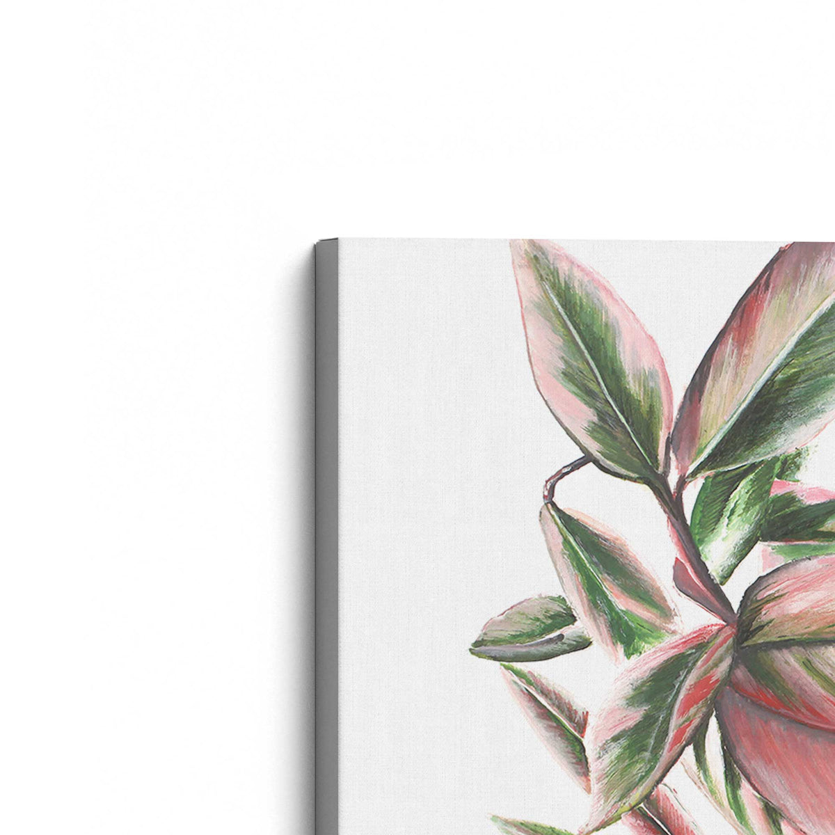 [Color:Stretched Canvas], Picture of the corner of the art