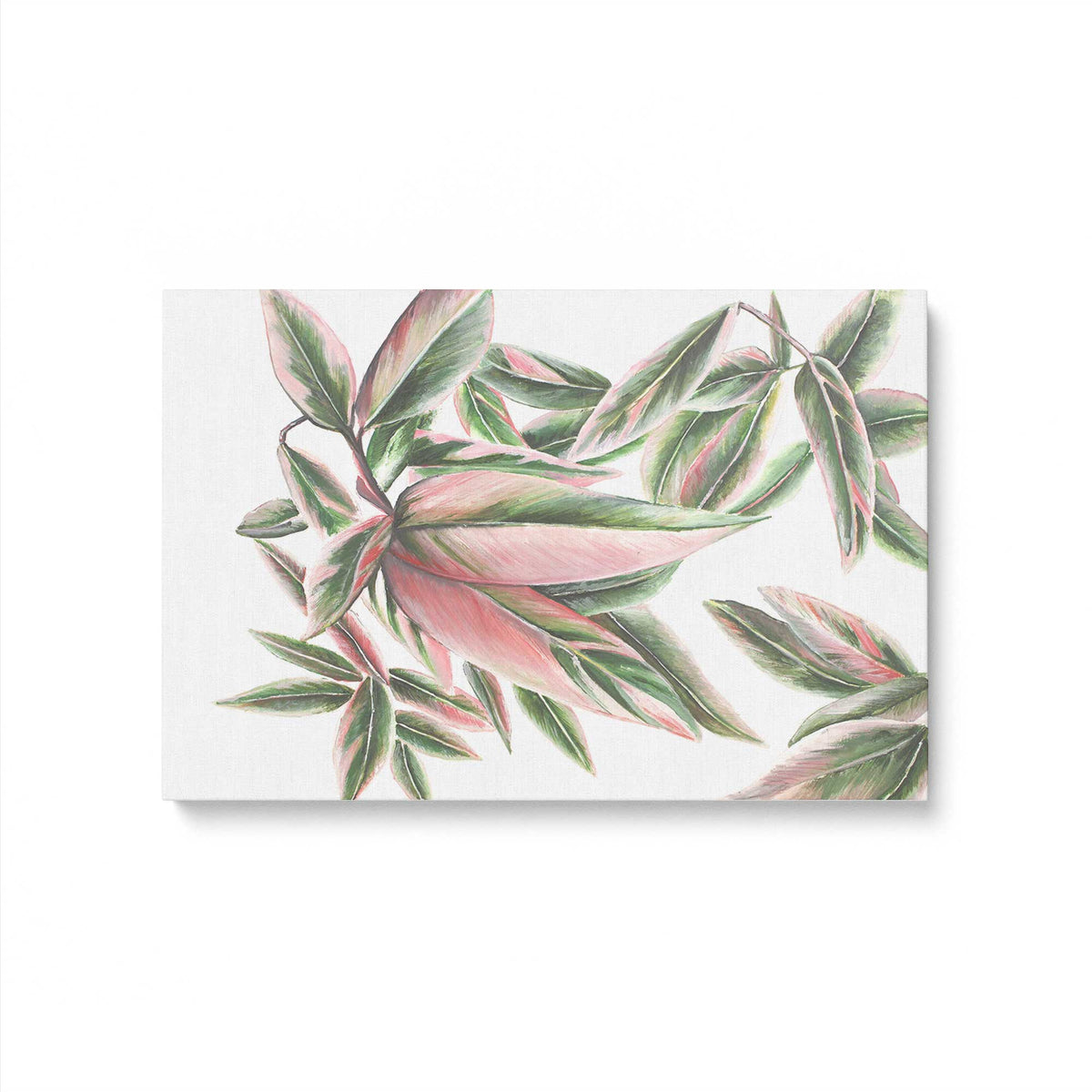 [Color:Stretched Canvas], Picture of art