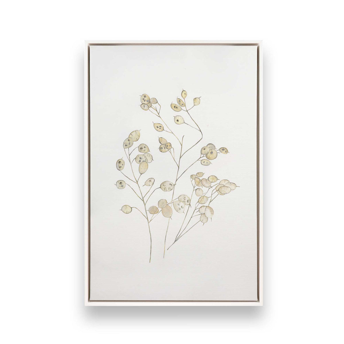 [Color:Opaque White], Picture of art in a White frame