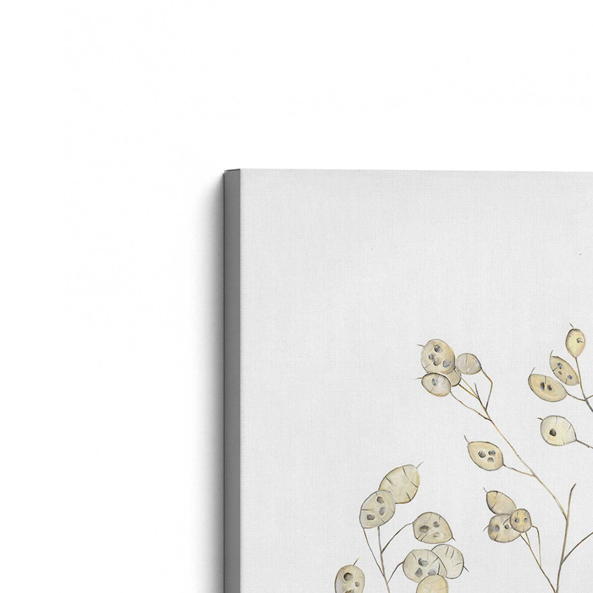 [Color:Stretched Canvas], Picture of the corner of the art