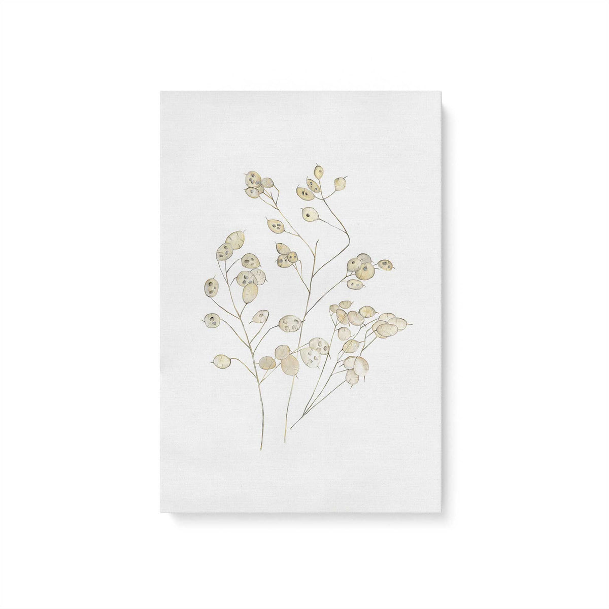 [Color:Stretched Canvas], Picture of art