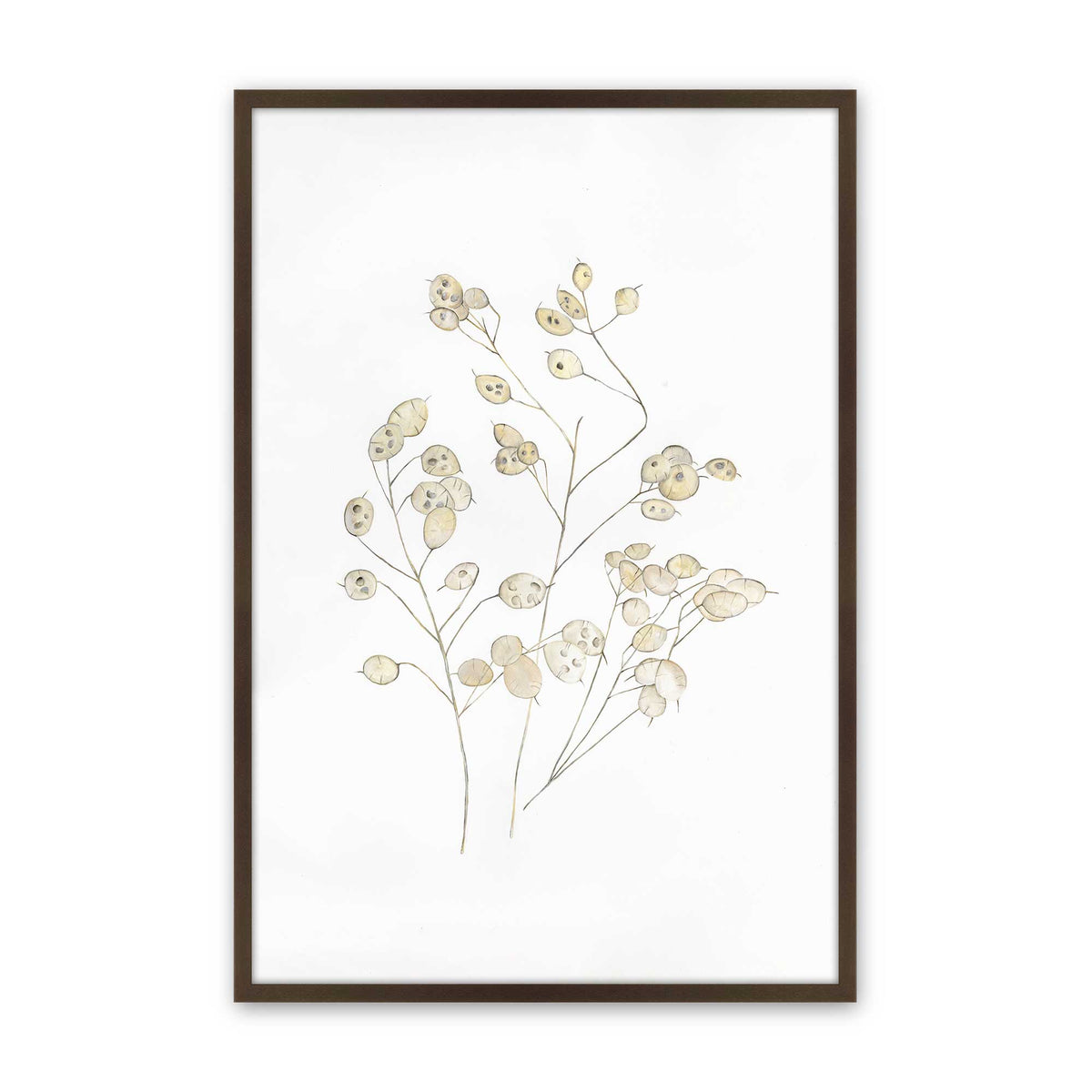 [Color:Brown], Picture of art in a Brown frame