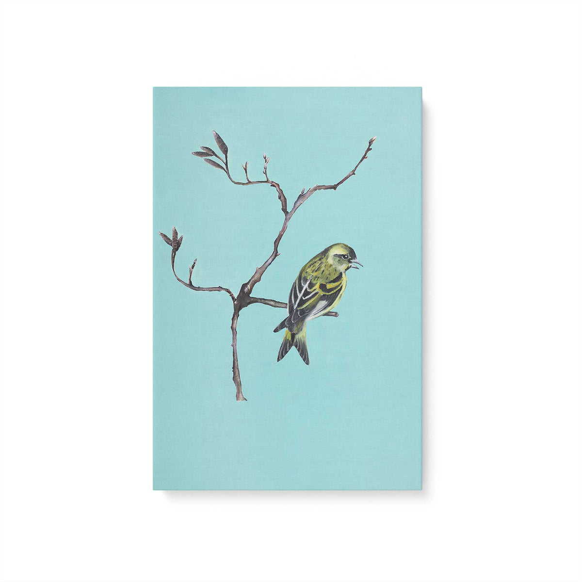 [Color:Stretched Canvas], Picture of art