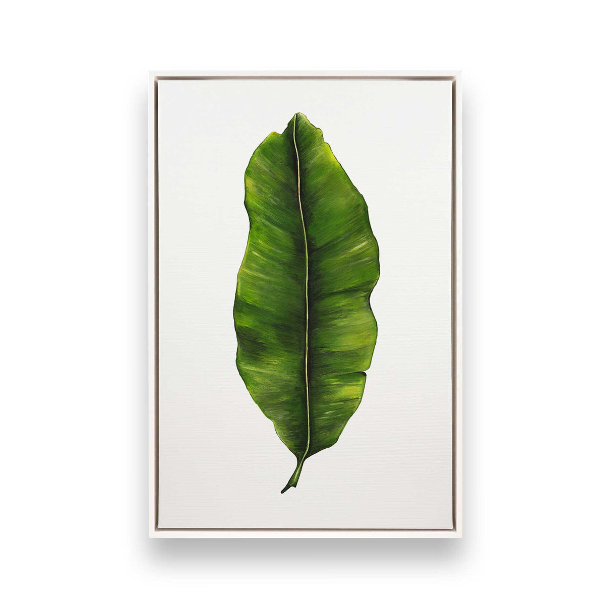 [Color:Opaque White], Picture of art in a White frame
