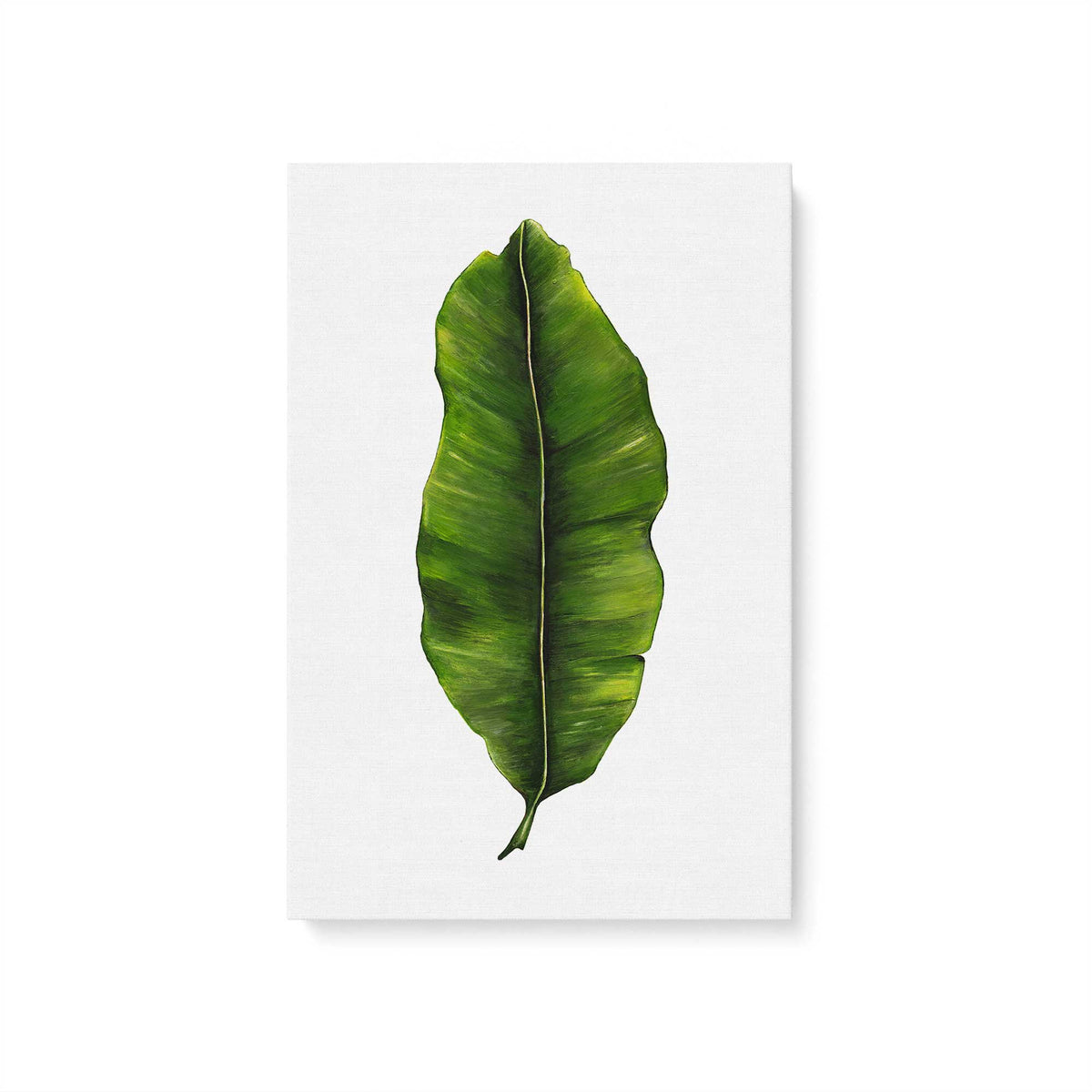 [Color:Stretched Canvas], Picture of art