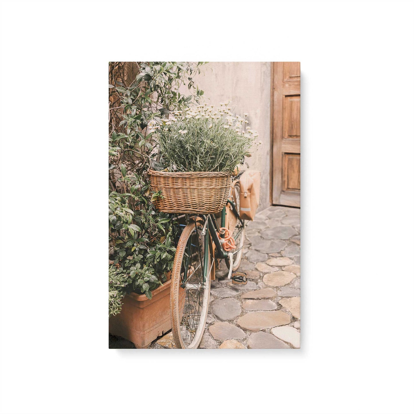 [Color:Stretched Canvas], Picture of art