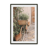 [Color:Satin Black],