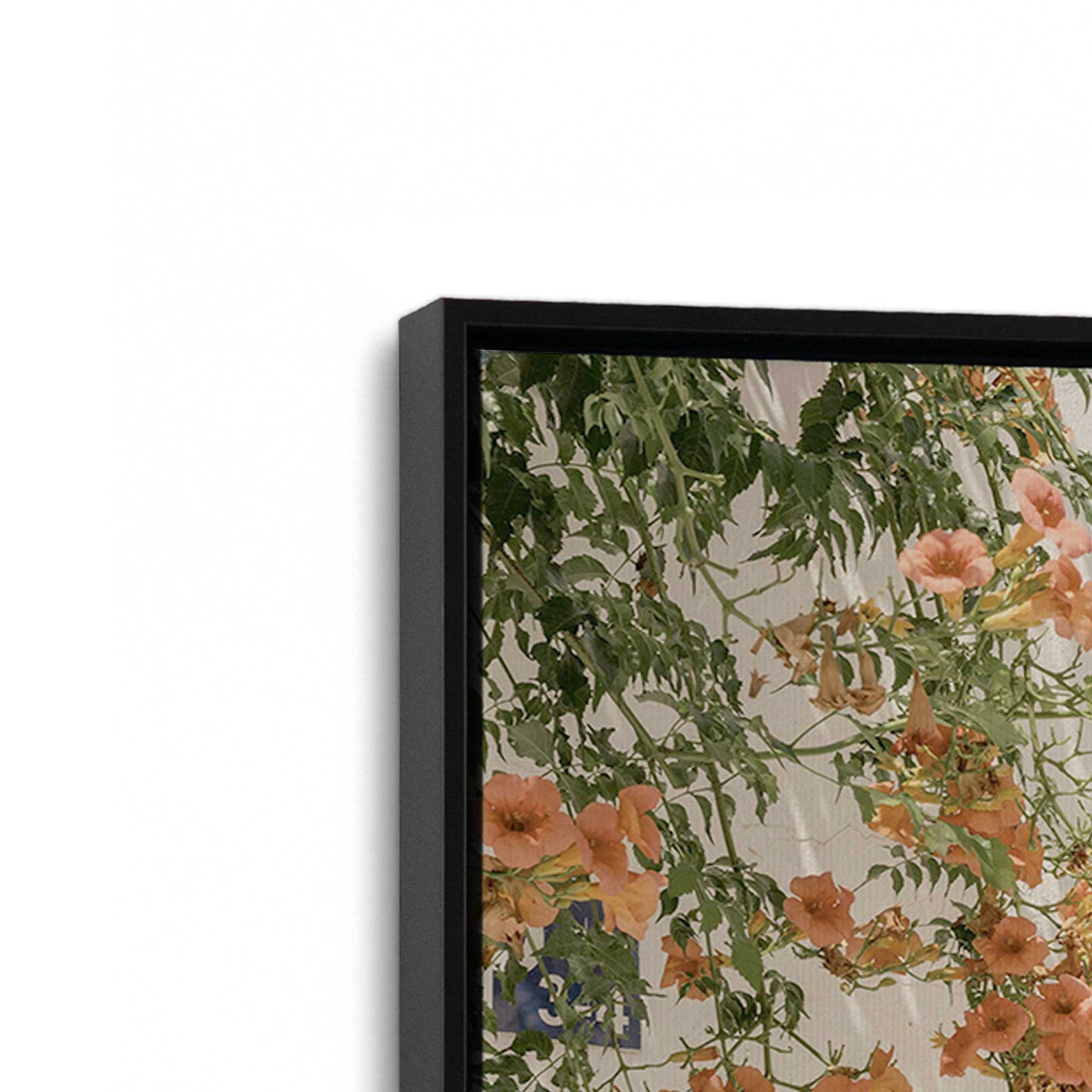 [Color:Satin Black], Picture of art in a Satin Black frame at an angle