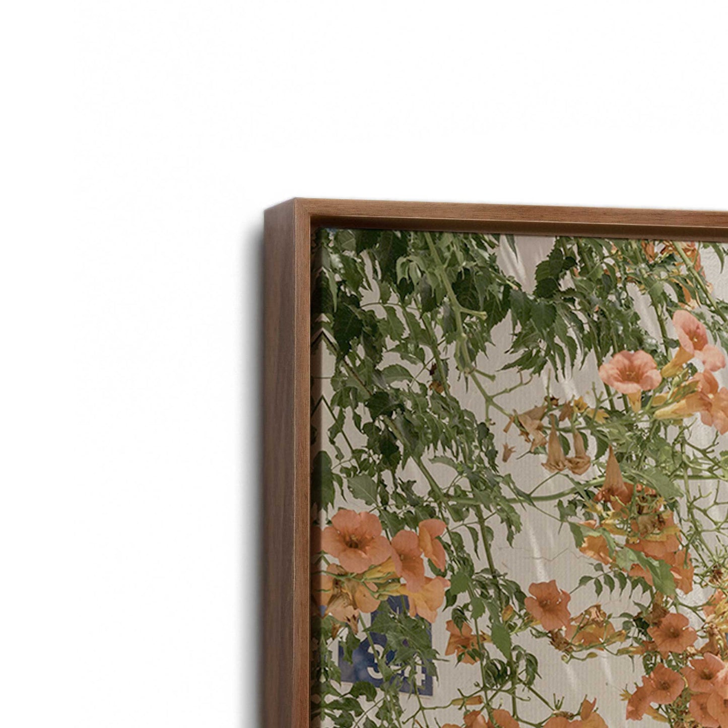 [Color:Walnut], Picture of art in a Walnut frame at an angle