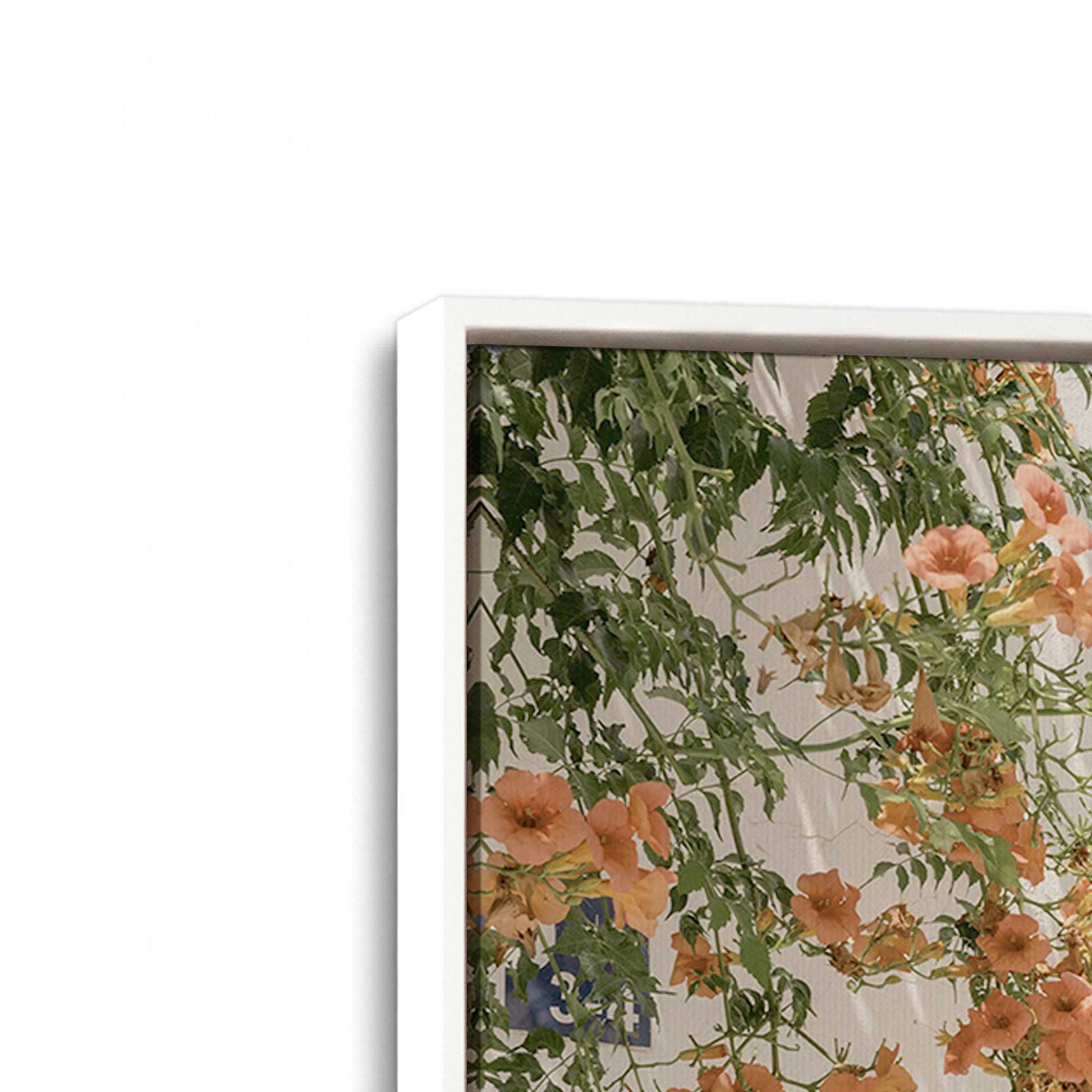 [Color:Opaque White], Picture of art in a White frame at an angle