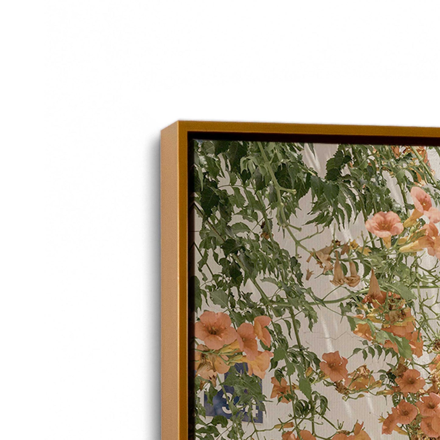 [Color:Polished Gold], Picture of art in a Polished Gold frame at an angle