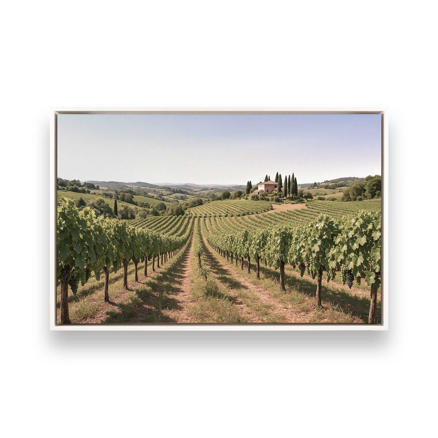 [Color:Opaque White], Picture of art in a White frame