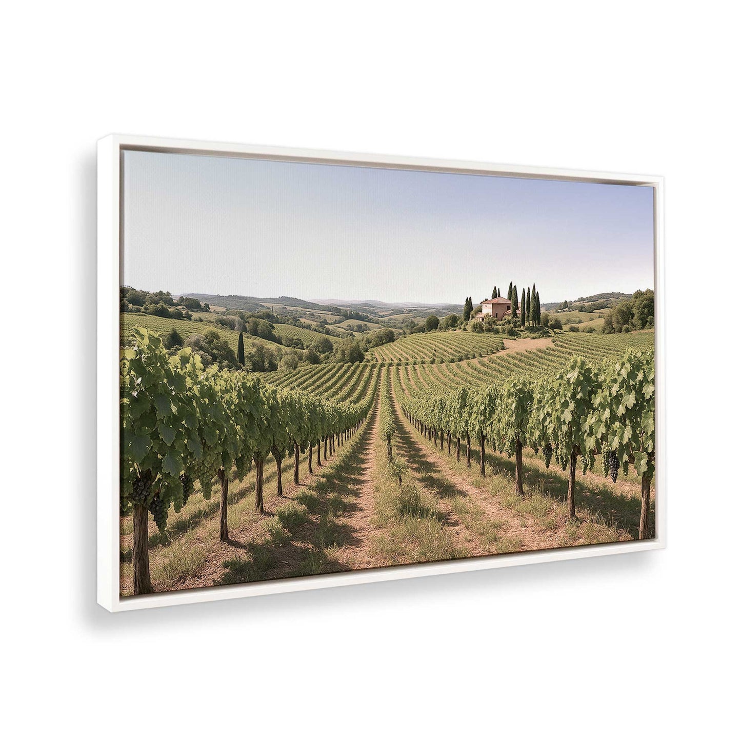 [Color:Opaque White], Picture of the corner of the art
