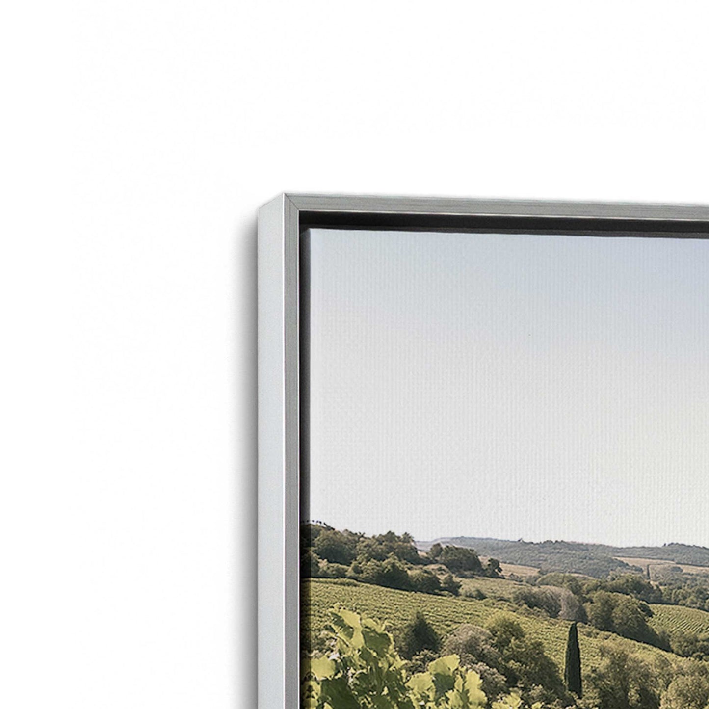 [Color:Polished Chrome], Picture of art in a Polished Chrome frame at an angle