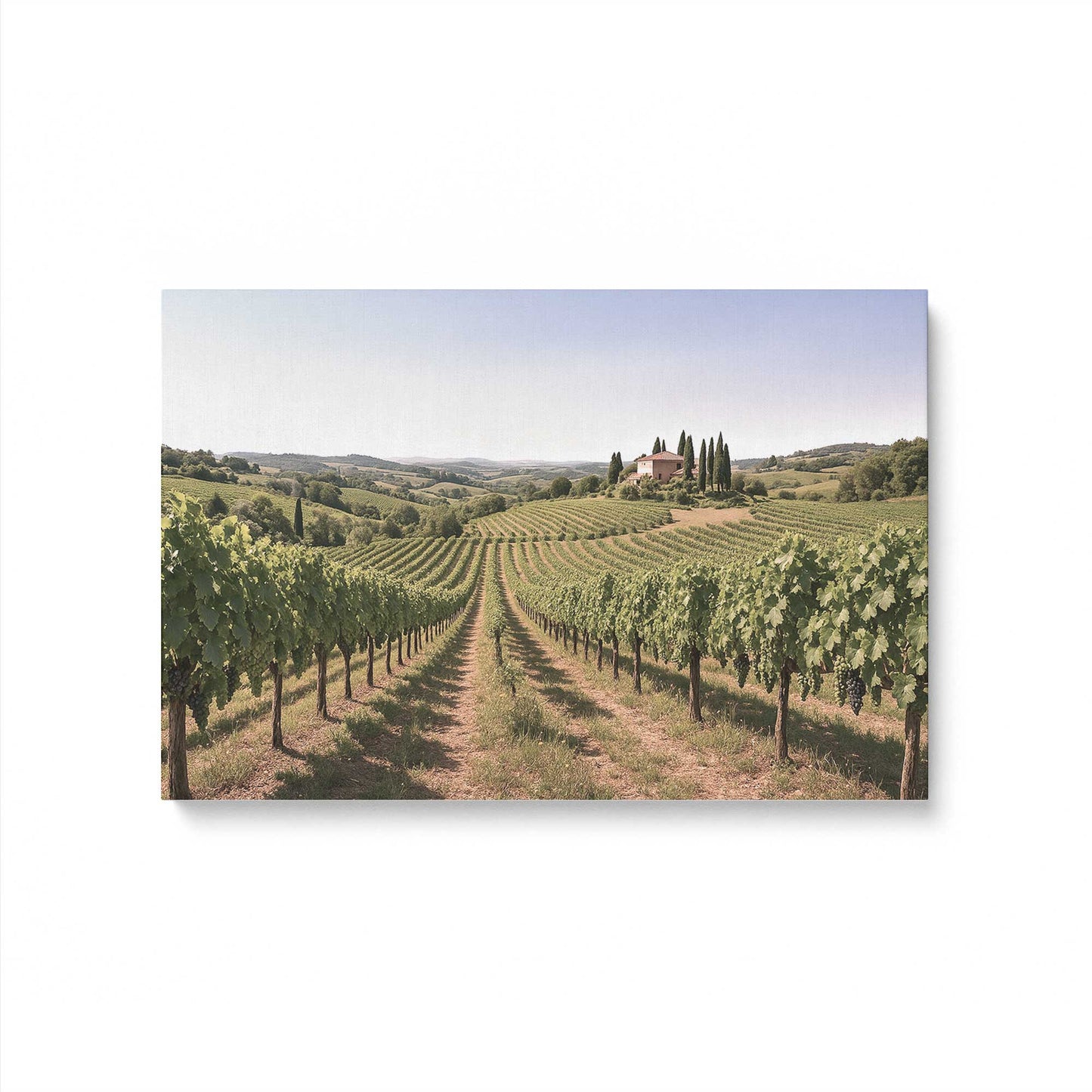 [Color:Stretched Canvas], Picture of art