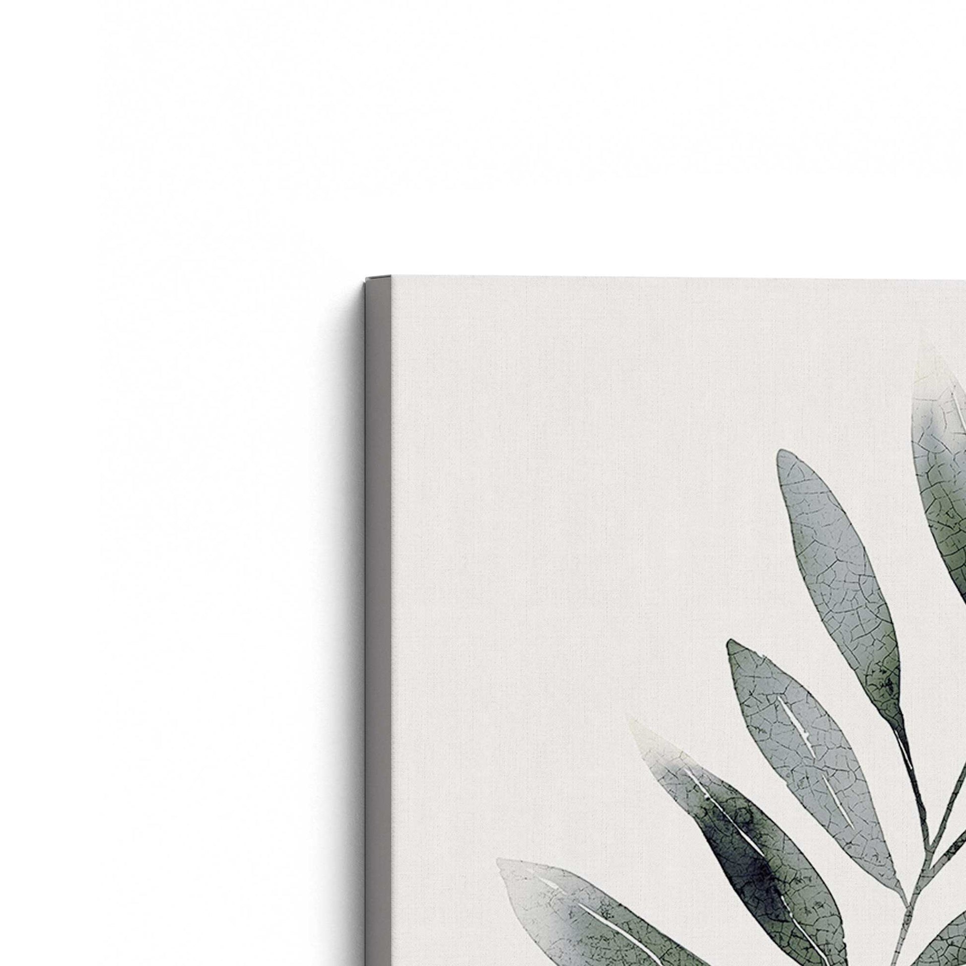 [Color:Stretched Canvas], Picture of the corner of the art