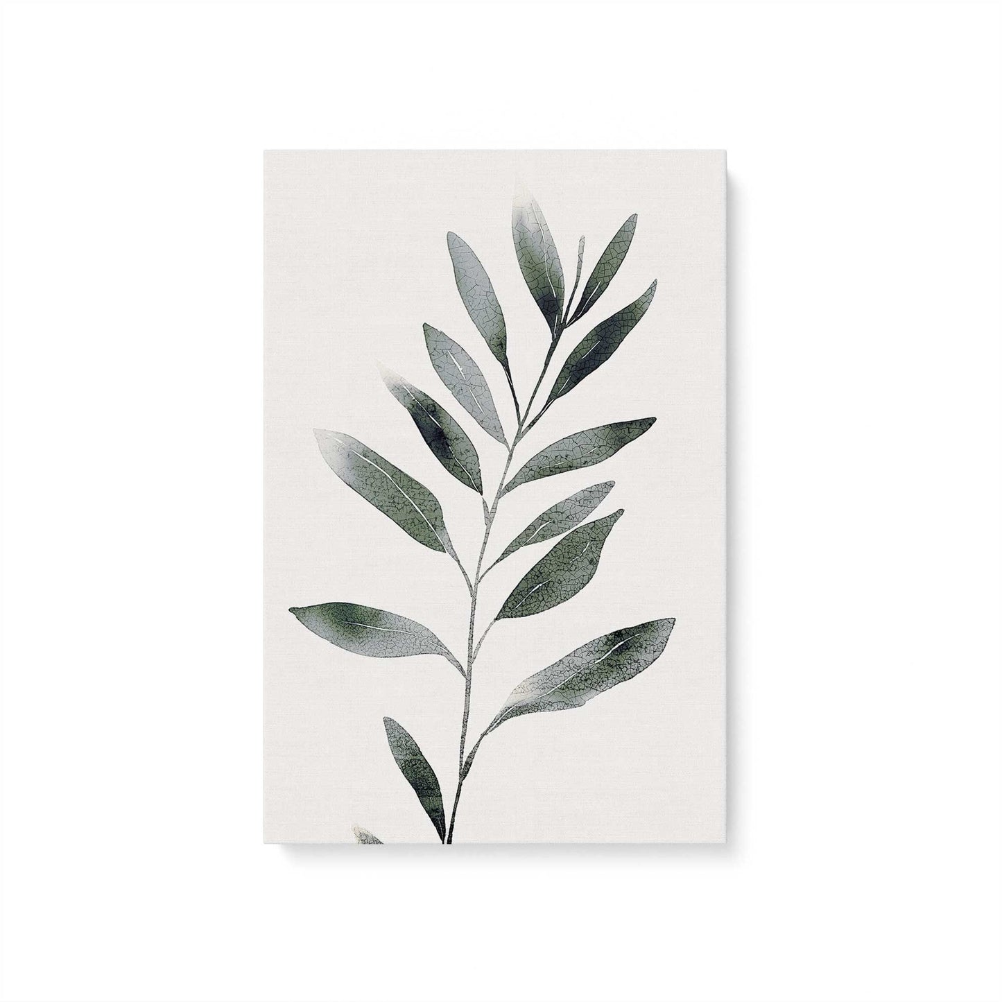 [Color:Stretched Canvas], Picture of art