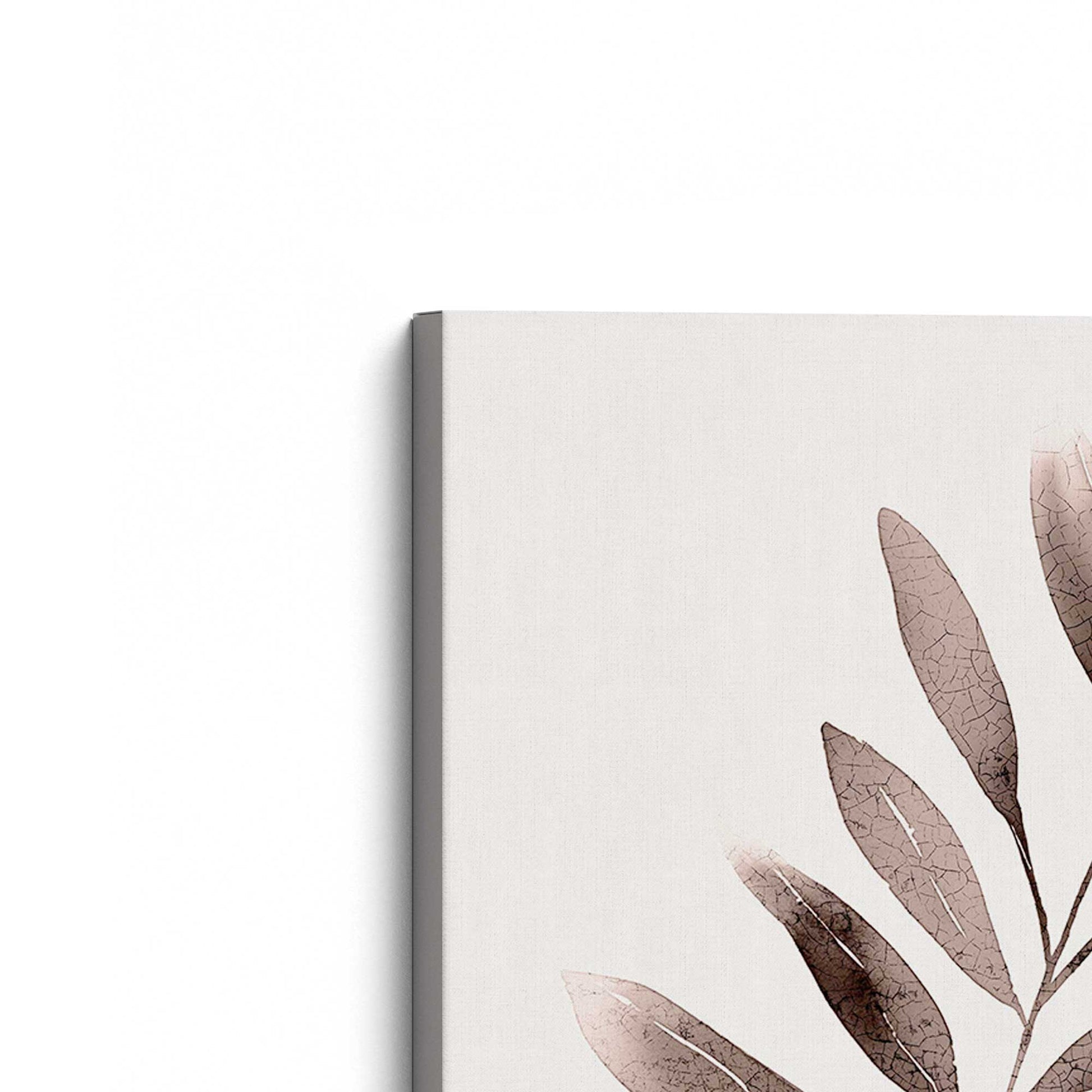 [Color:Stretched Canvas], Picture of the corner of the art