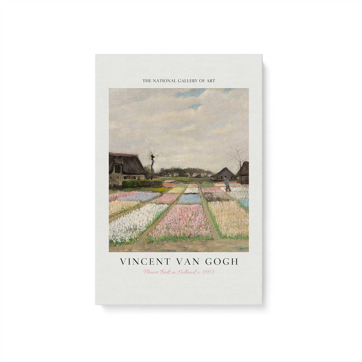 [Color:Stretched Canvas], Picture of art
