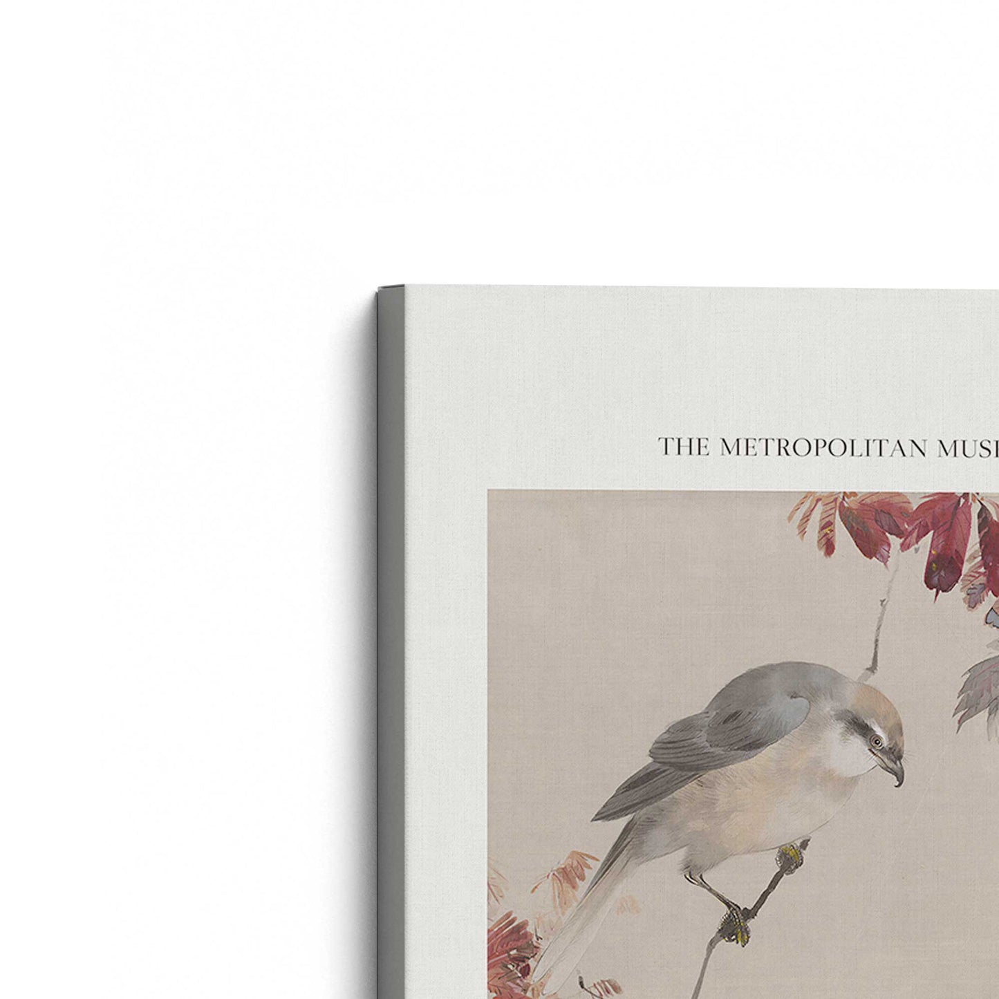 [Color:Stretched Canvas], Picture of the corner of the art