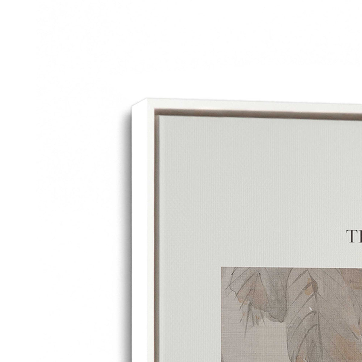 [Color:Opaque White], Picture of art in a White frame at an angle