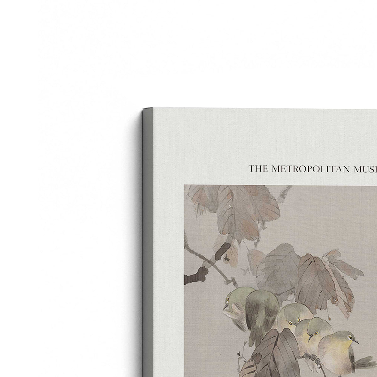 [Color:Stretched Canvas], Picture of the corner of the art