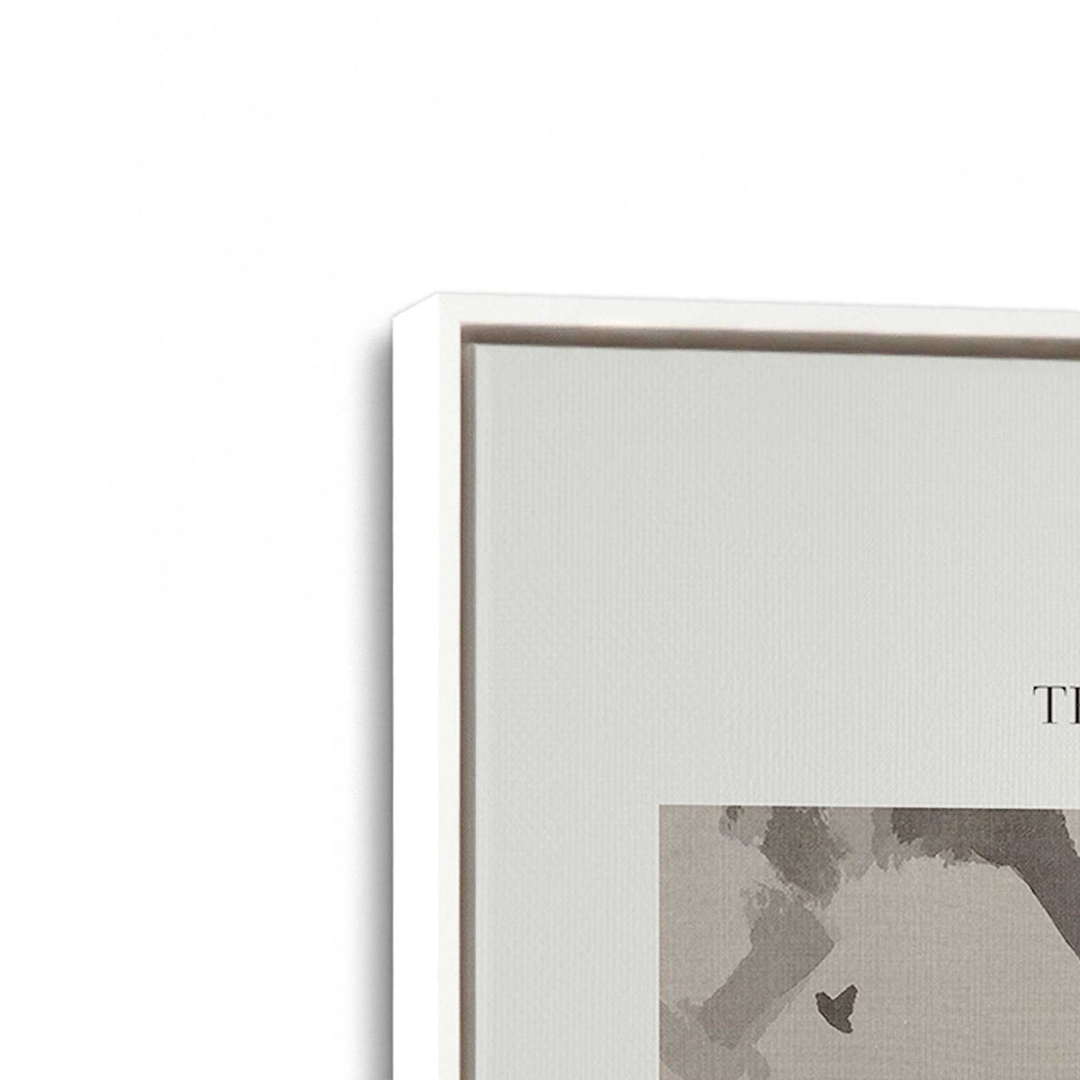 [Color:Opaque White], Picture of art in a White frame at an angle