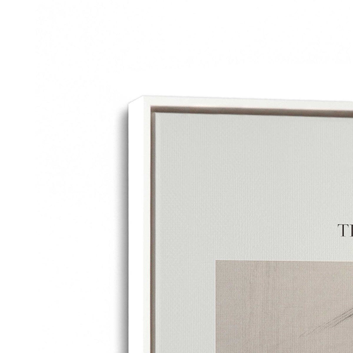 [Color:Opaque White], Picture of art in a White frame at an angle