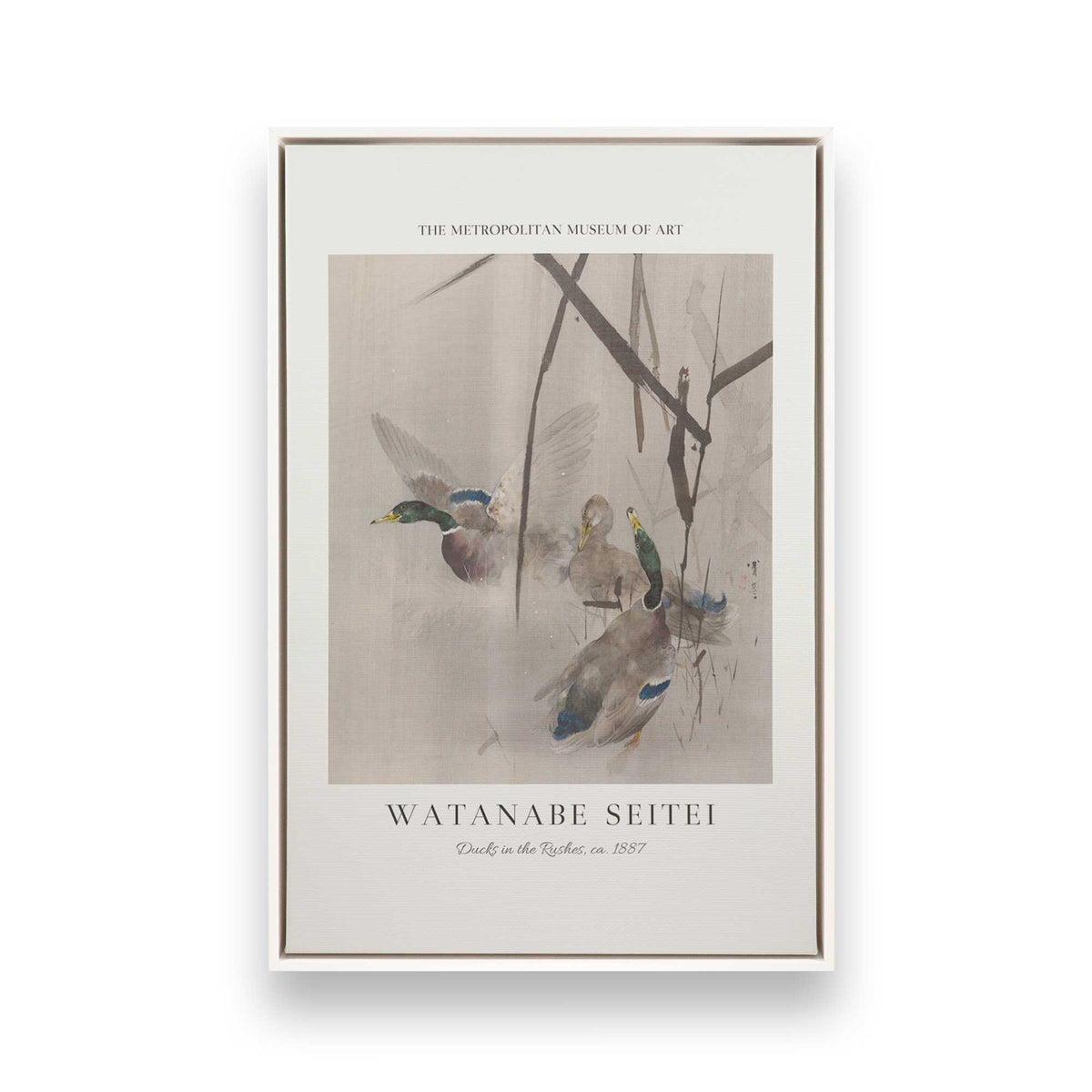 [Color:Opaque White], Picture of art in a White frame
