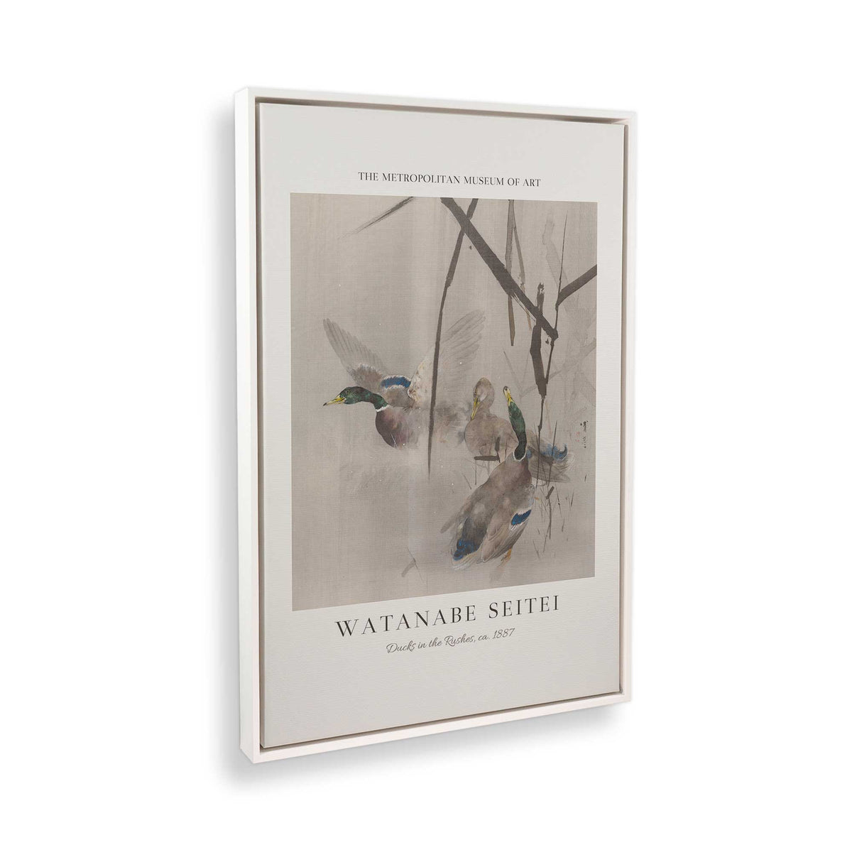 [Color:Opaque White], Picture of the corner of the art