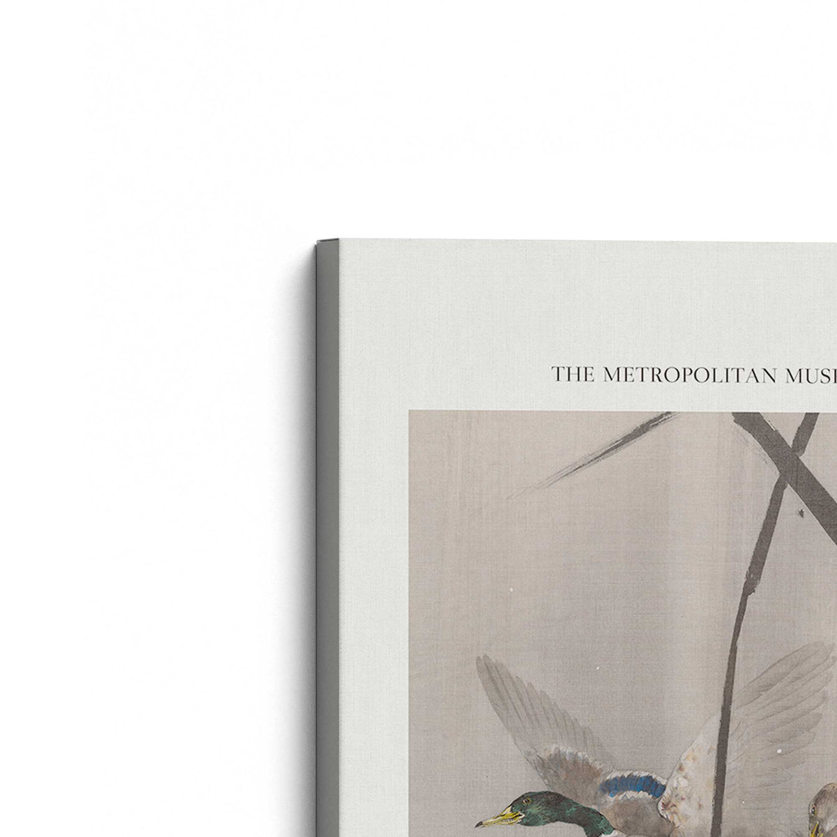 [Color:Stretched Canvas], Picture of the corner of the art