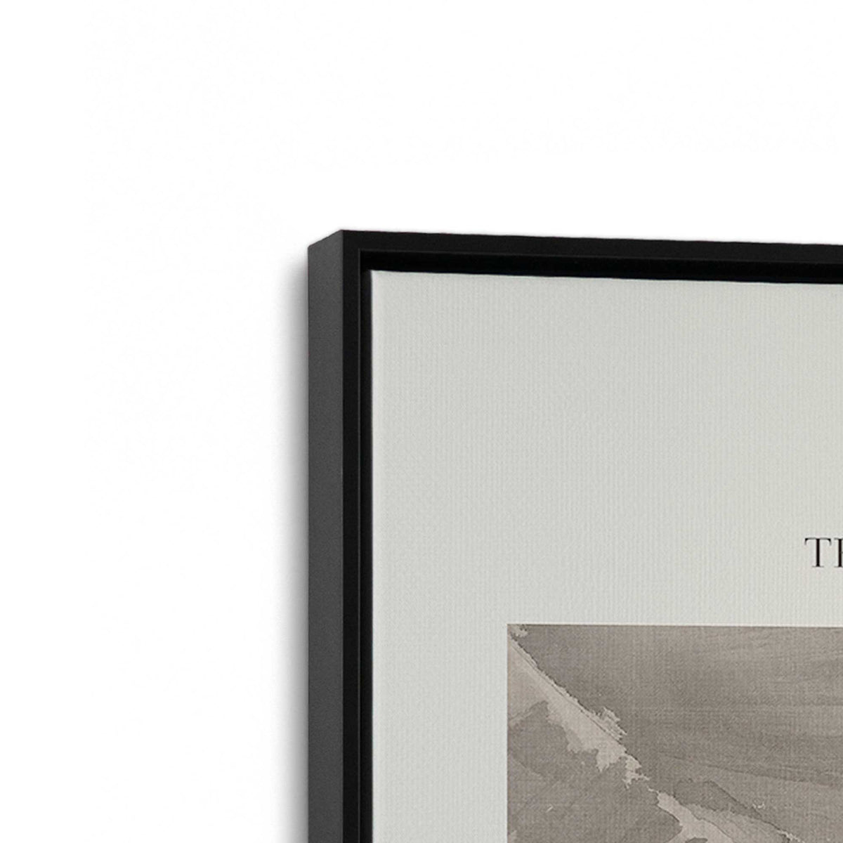 [Color:Satin Black], Picture of art in a Satin Black frame at an angle