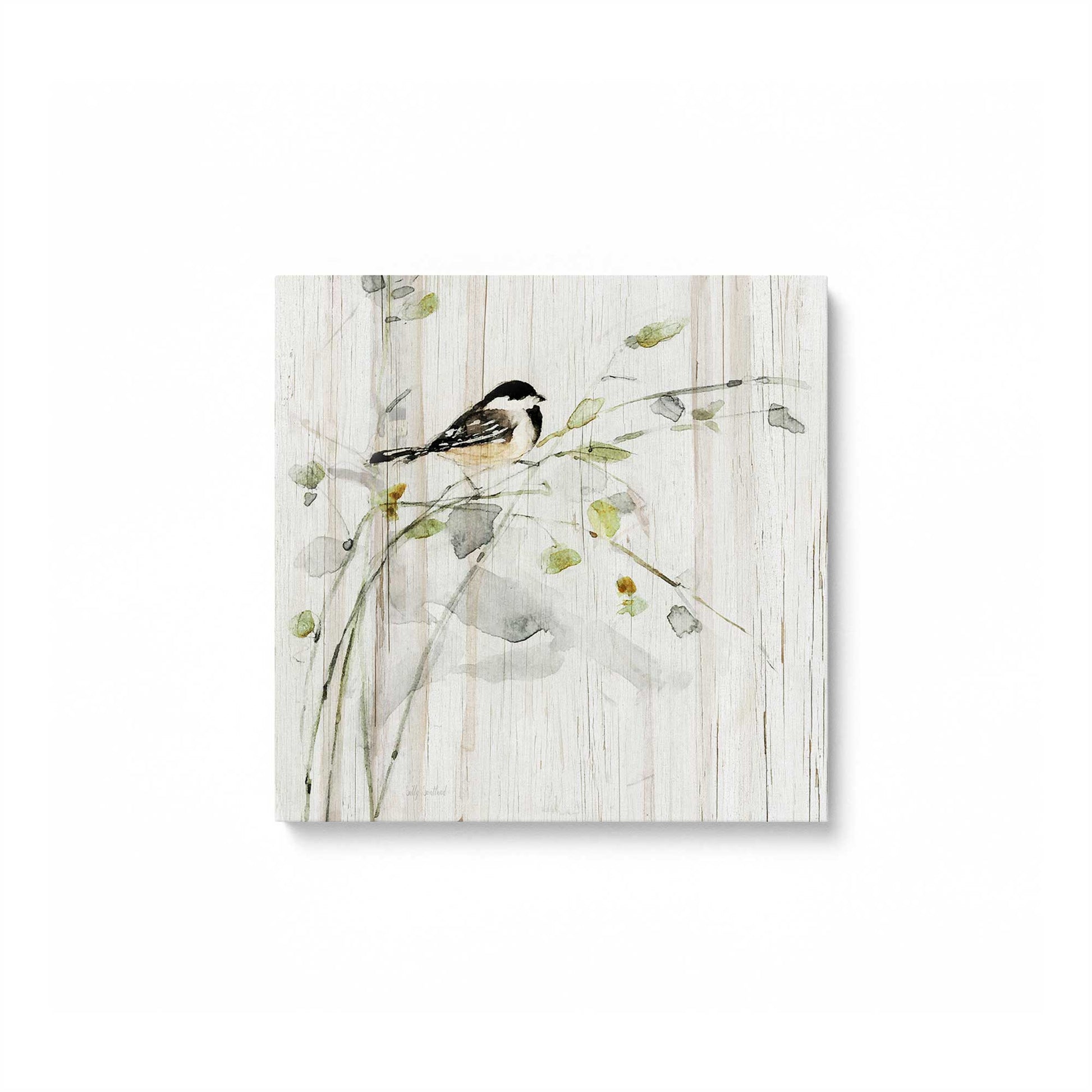 [Color:Stretched Canvas], Picture of art