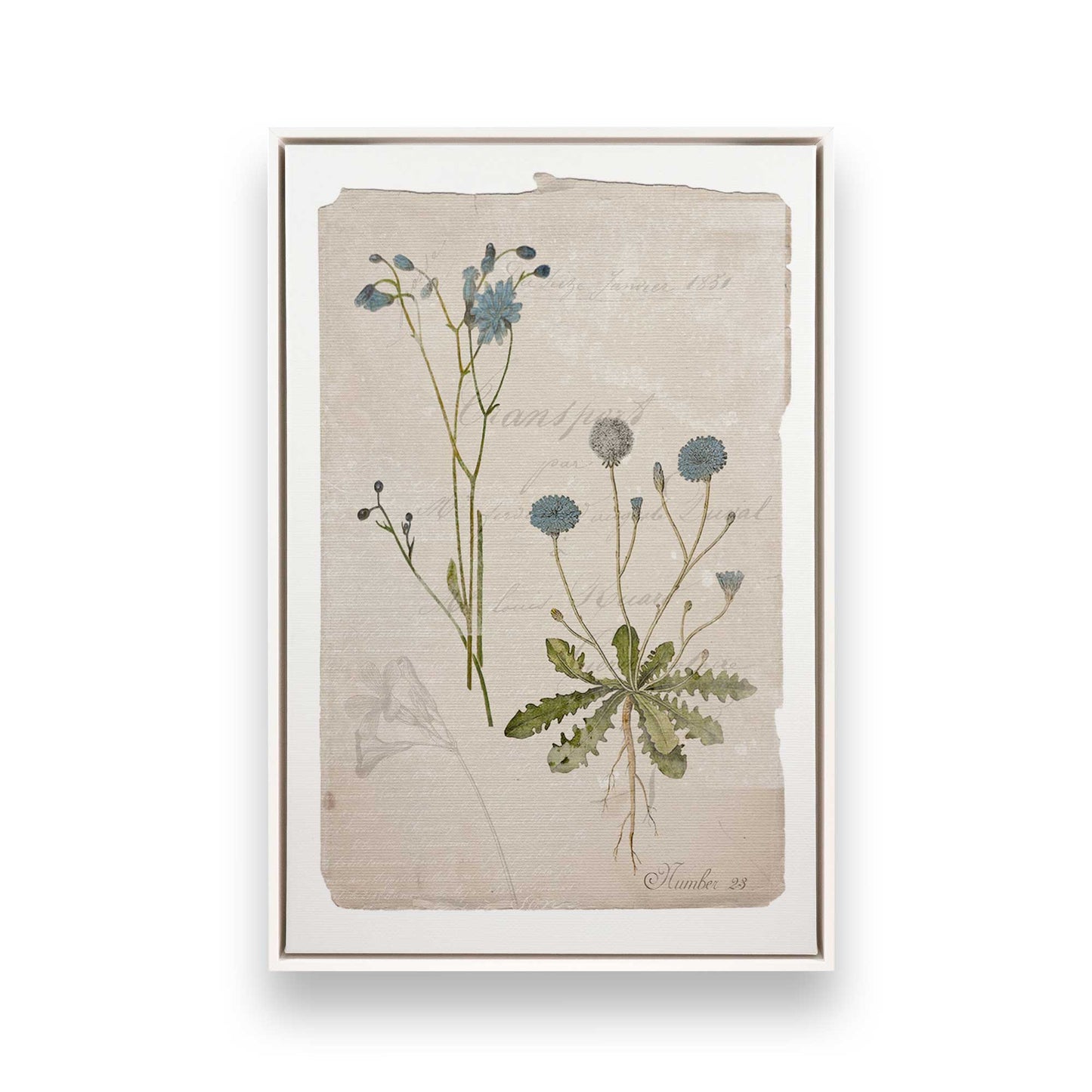 [Color:Opaque White], Picture of art in a White frame
