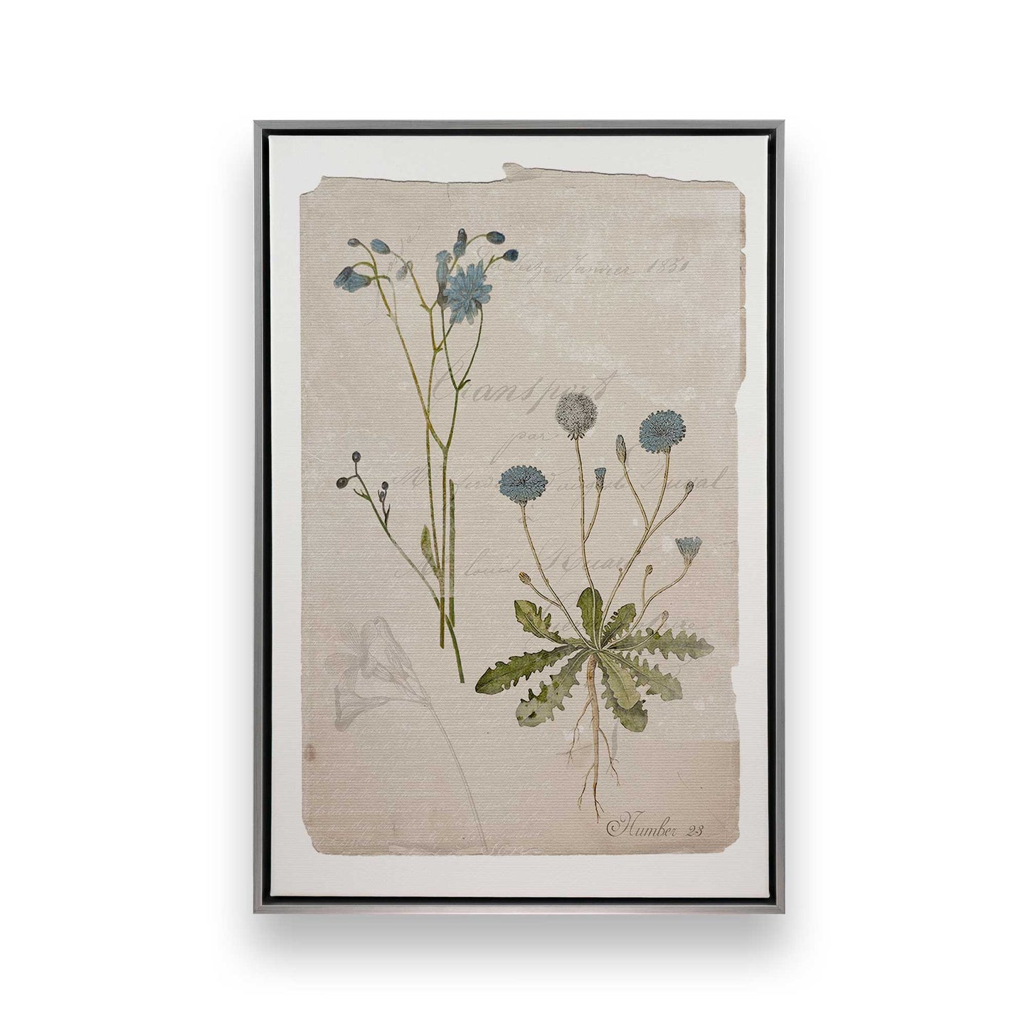 [Color:Polished Chrome], Picture of art in a Polished Chrome frame