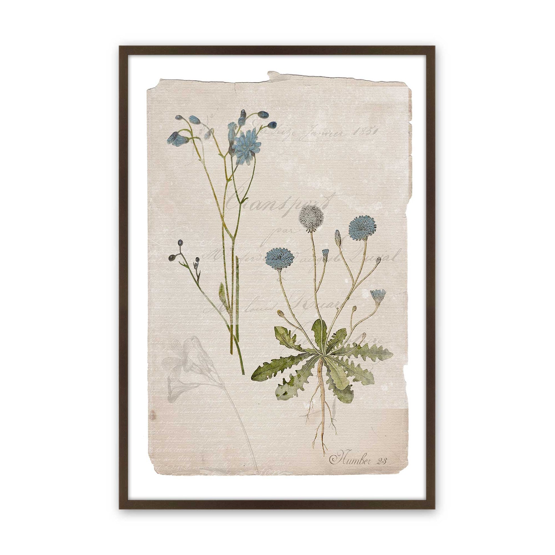 [Color:Belvinder Brown], Picture of art in a Belvinder Brown frame