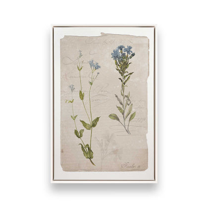 [Color:Opaque White], Picture of art in a White frame