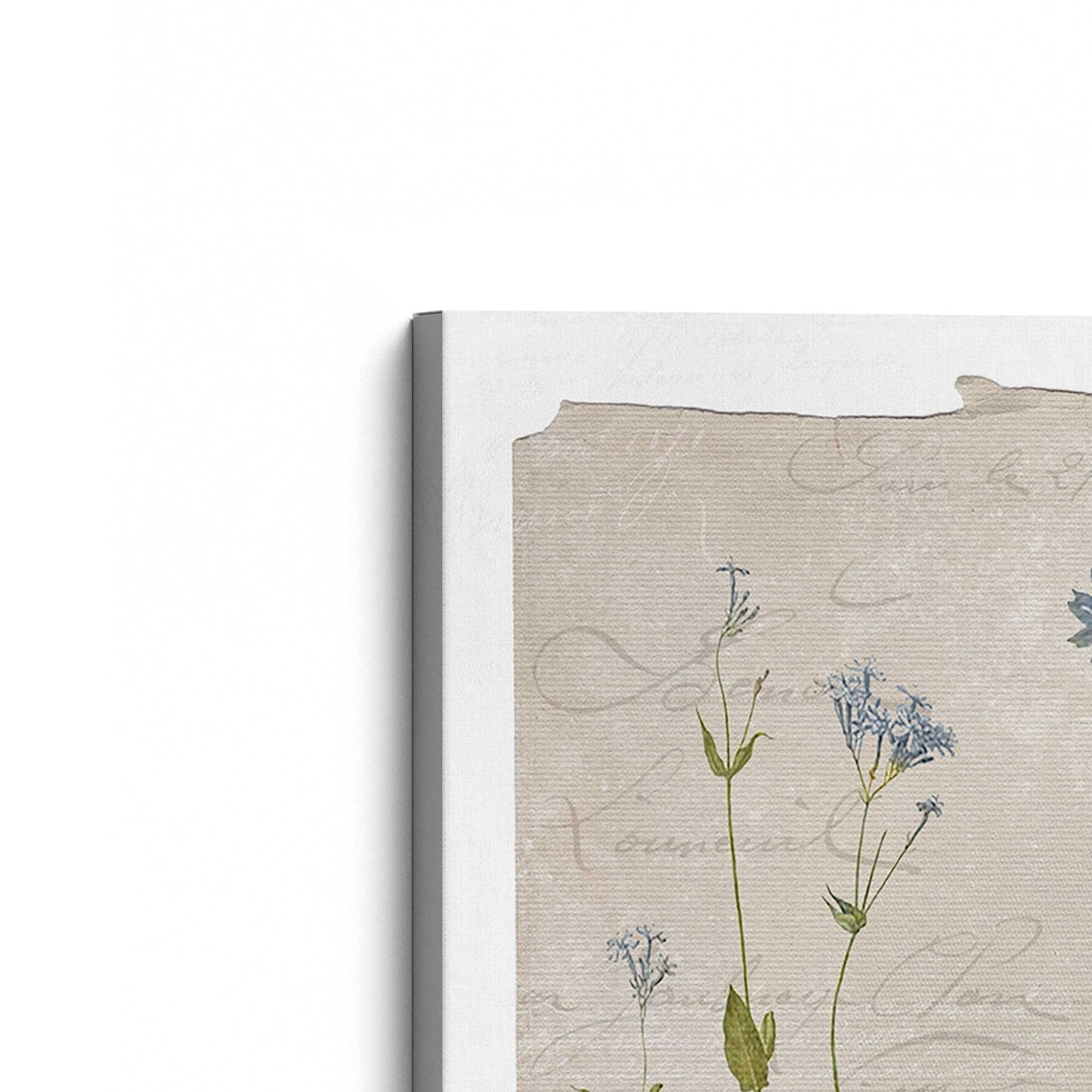 [Color:Stretched Canvas], Picture of the corner of the art