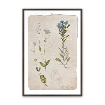[Color:Brown], Picture of art in a Brown frame
