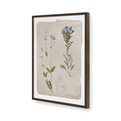 [Color:Belvinder Brown], Picture of art in a Belvinder Brown frame of the corner