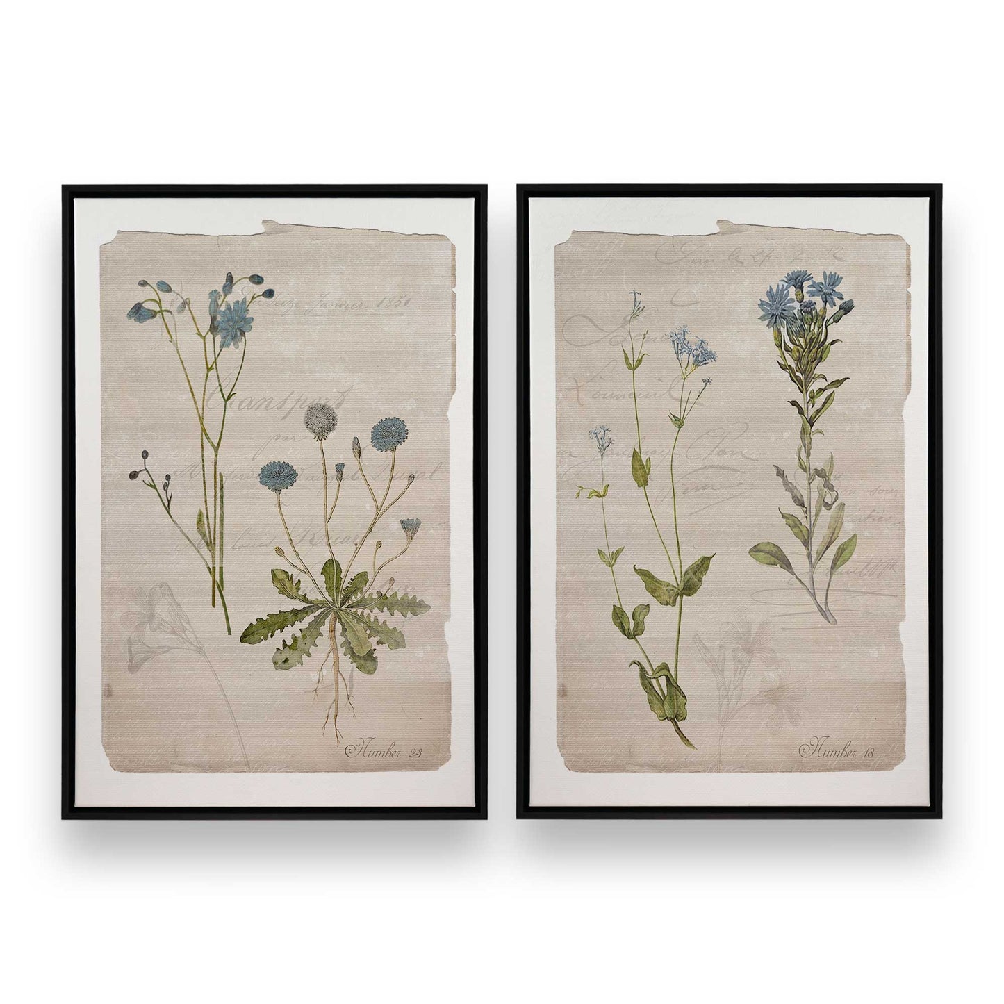 [Color:Satin Black], Picture of art in a Satin Black frame