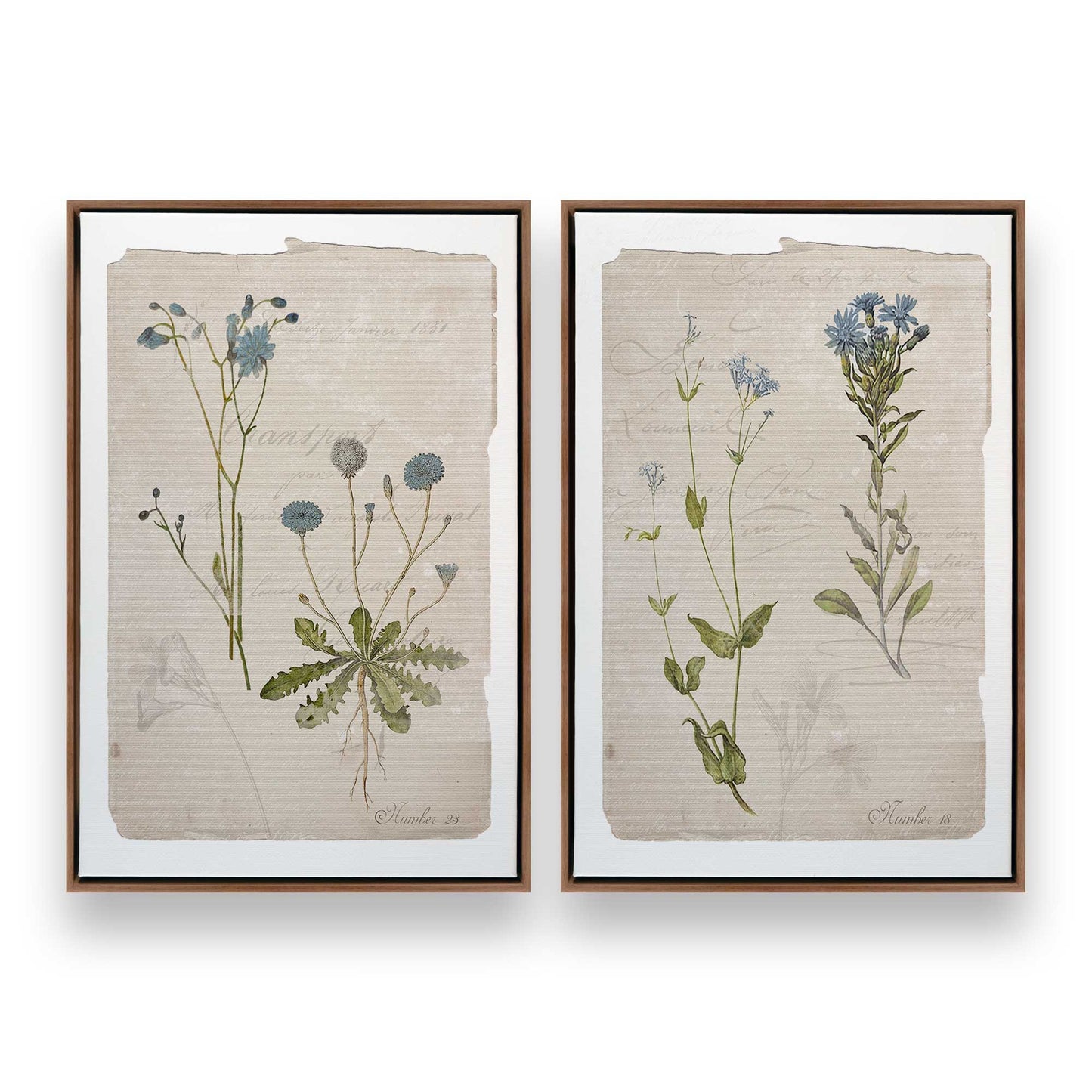 [Color:Walnut], Picture of art in a Walnut frame
