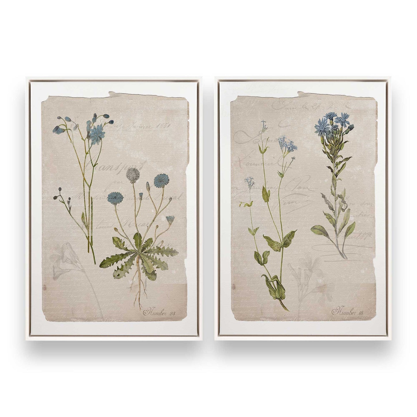 [Color:Opaque White], Picture of art in a White frame